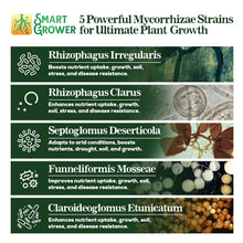 Load image into Gallery viewer, 5-Strain Mycorrhizal Fungi Blend - Potent Support for Garden and Lawn Growth