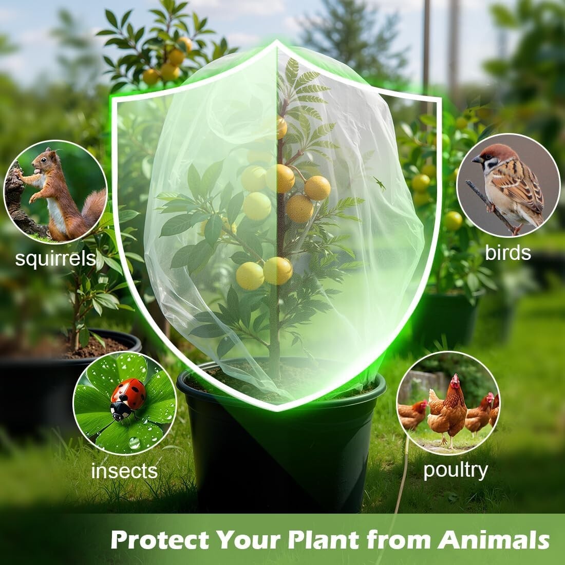 Garden Protection Bundle: 5 Reusable 12-Inch Pots with Reinforced Netting Covers