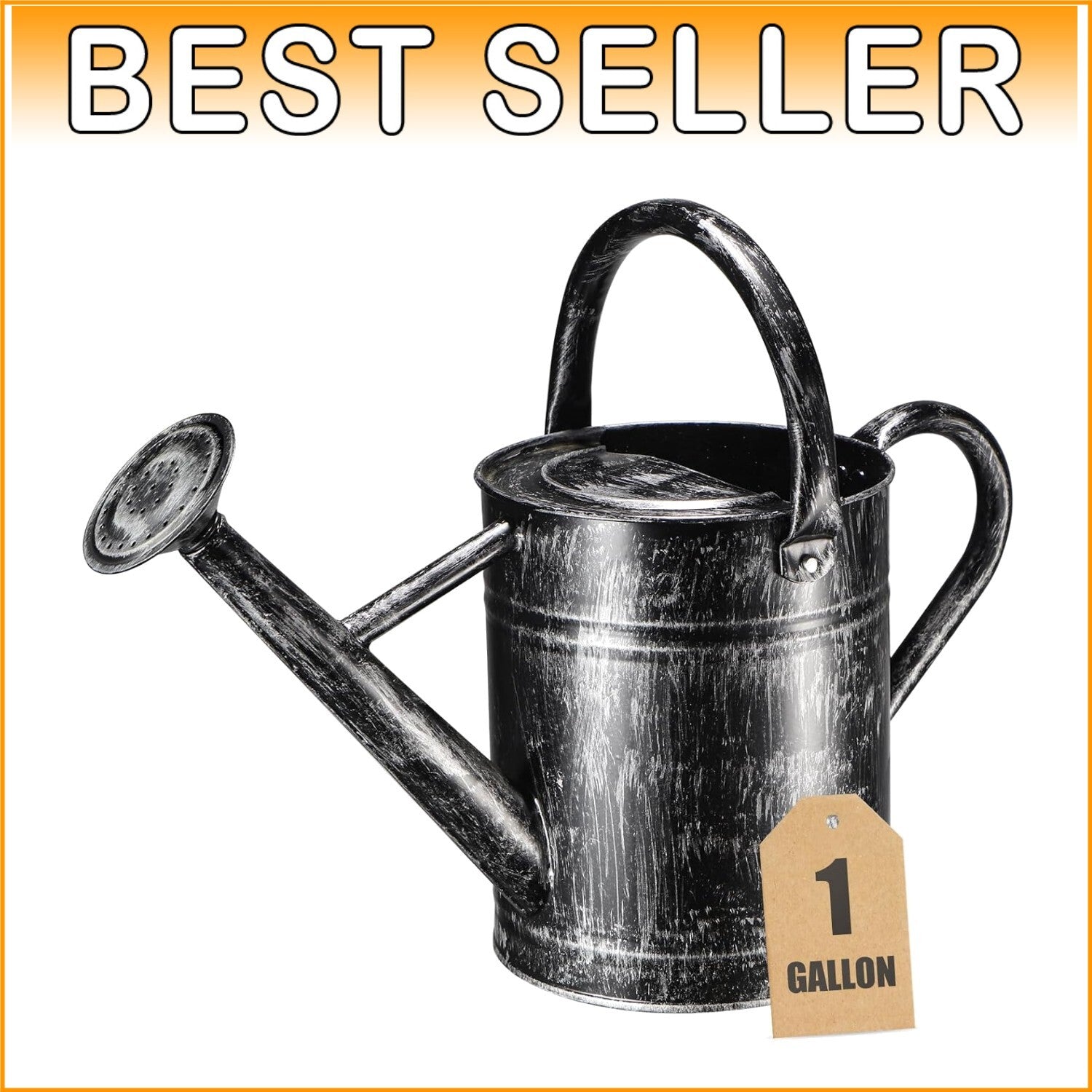 Elegant 1-Gallon Galvanized Steel Watering Can for Indoor & Outdoor Plants