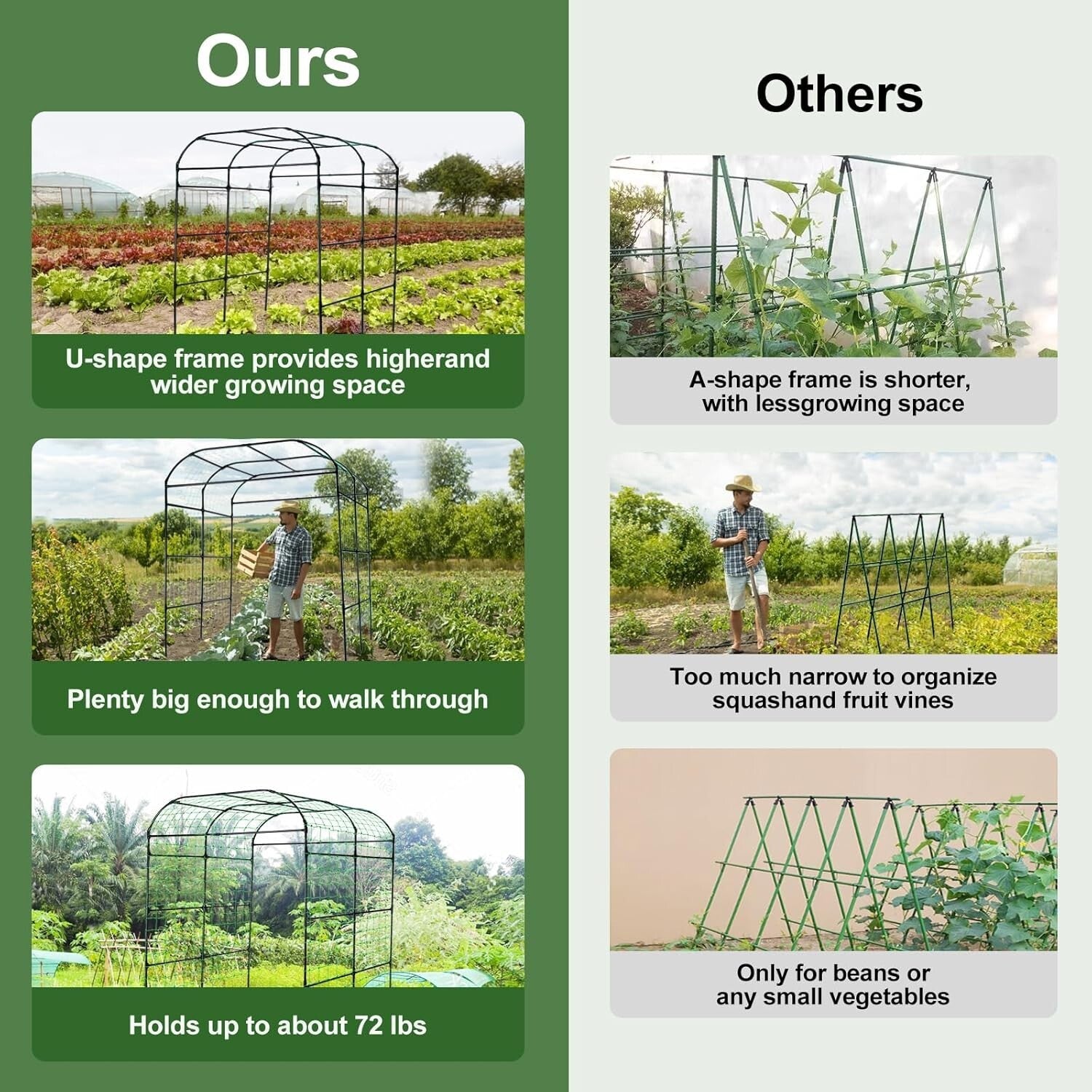 Durable Metal Arbor Trellis with Netting for Vertical Gardening & Plant Support