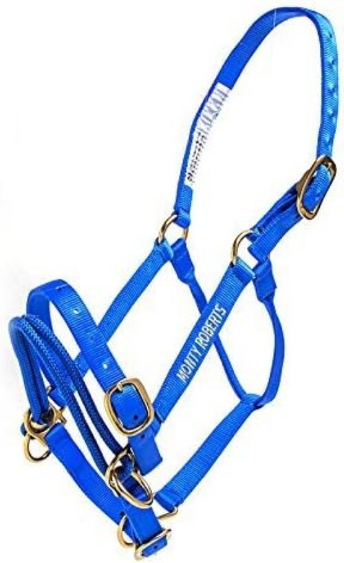Durable Adjustable Dually Headcollar for Effective Horse Training - Large, Blue