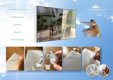 Load image into Gallery viewer, Translucent Bird Strike Prevention Stickers - 3 Sheets of Elegant Silhouettes