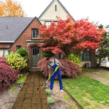 Load image into Gallery viewer, Telescoping Weed Grabber Tool with Two Blades for Eco-Friendly Weeding