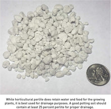 Load image into Gallery viewer, 120 Quart Non-Decay Organic Perlite for Healthy Plant Growth and Root Anchoring