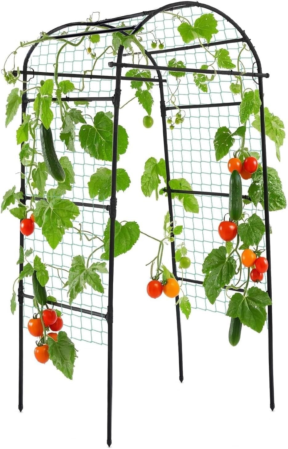 Durable Metal Trellis 80" Tall - Perfect for Tomato, Cucumber, and Flowers