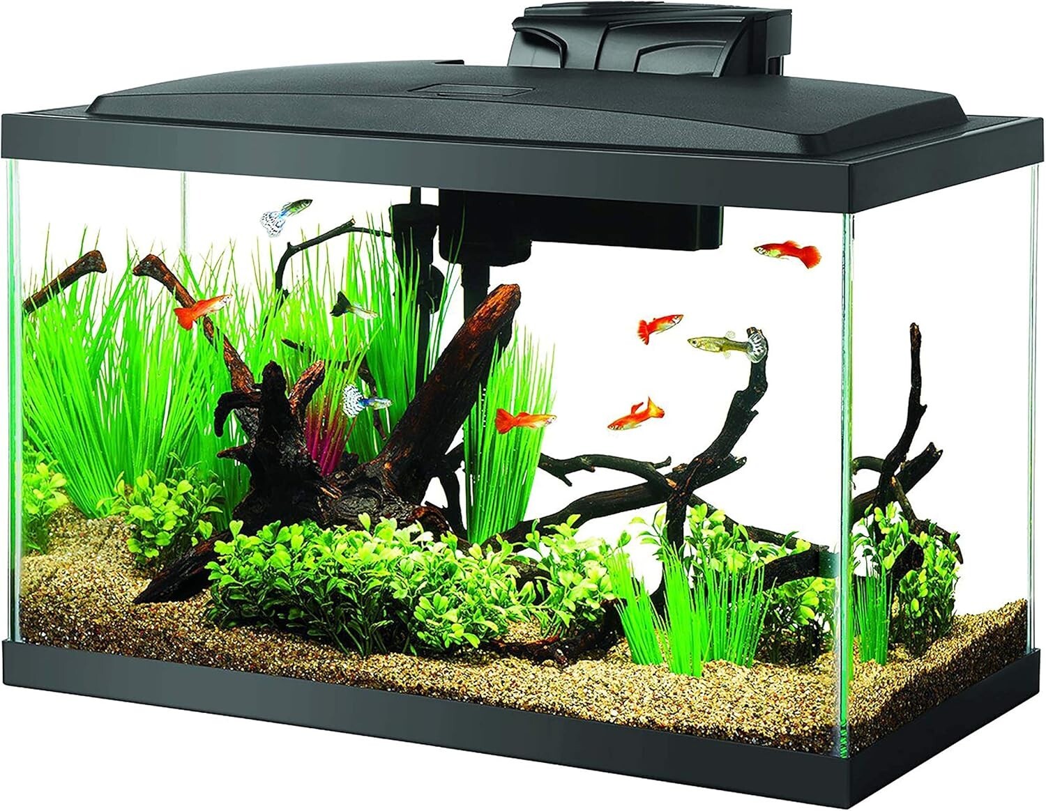 10 Gallon LED Aquarium Starter Kit with Complete Accessories – Effortless Setup