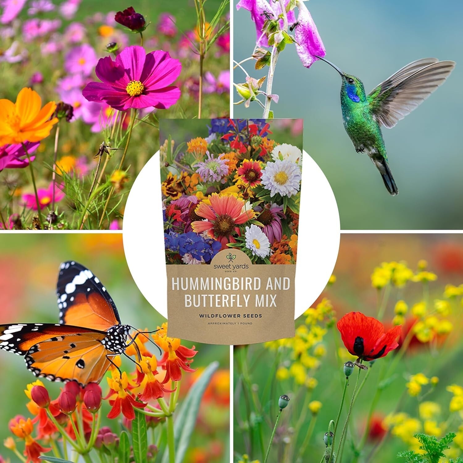 Bulk Wildflower Seed Mix for Butterflies & Hummingbirds - 5 Pounds Fresh Seeds