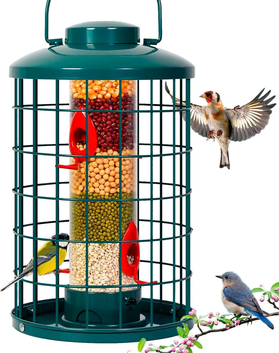 Large Capacity Squirrel-Proof Bird Feeder with Detachable Assembly & Dome Lid