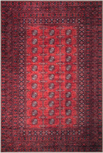Load image into Gallery viewer, Low Pile 3x5 Rug - Vintage Moroccan Design, Machine Washable for Easy Cleaning