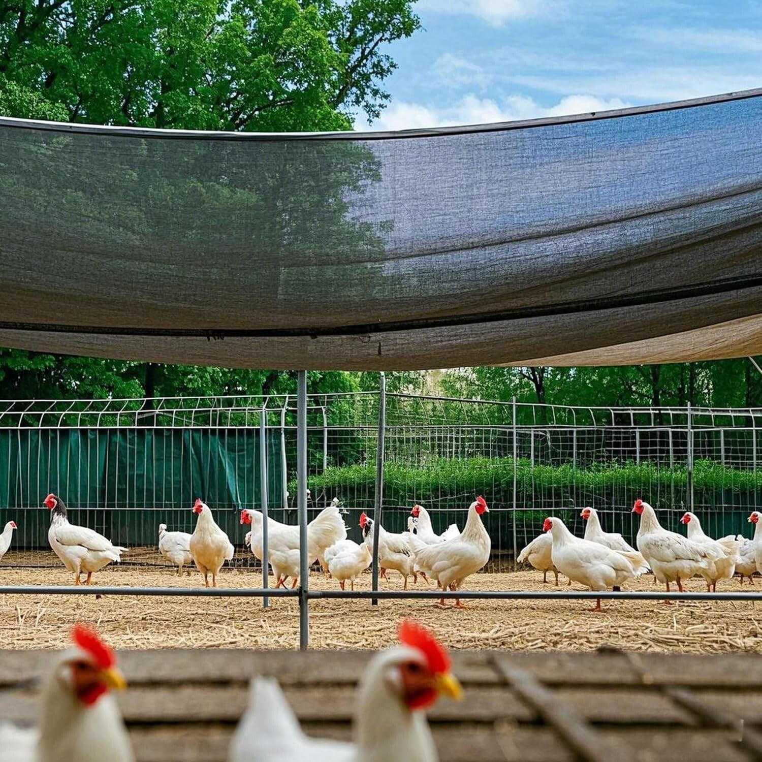 Breathable Black Shade Cloth 40% - Ideal 30x50 FT Cover for Plants & Pets