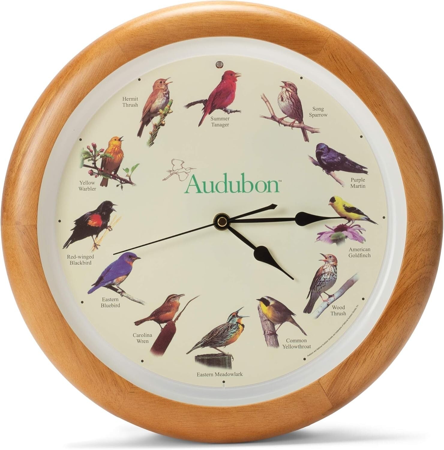 Beautiful Oak Wood Frame Singing Bird Wall Clock, Ideal for Kids' Rooms