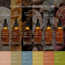 Load image into Gallery viewer, 6-Piece Mushroom Tincture Discovery Set - Wellness Gift for Enthusiasts