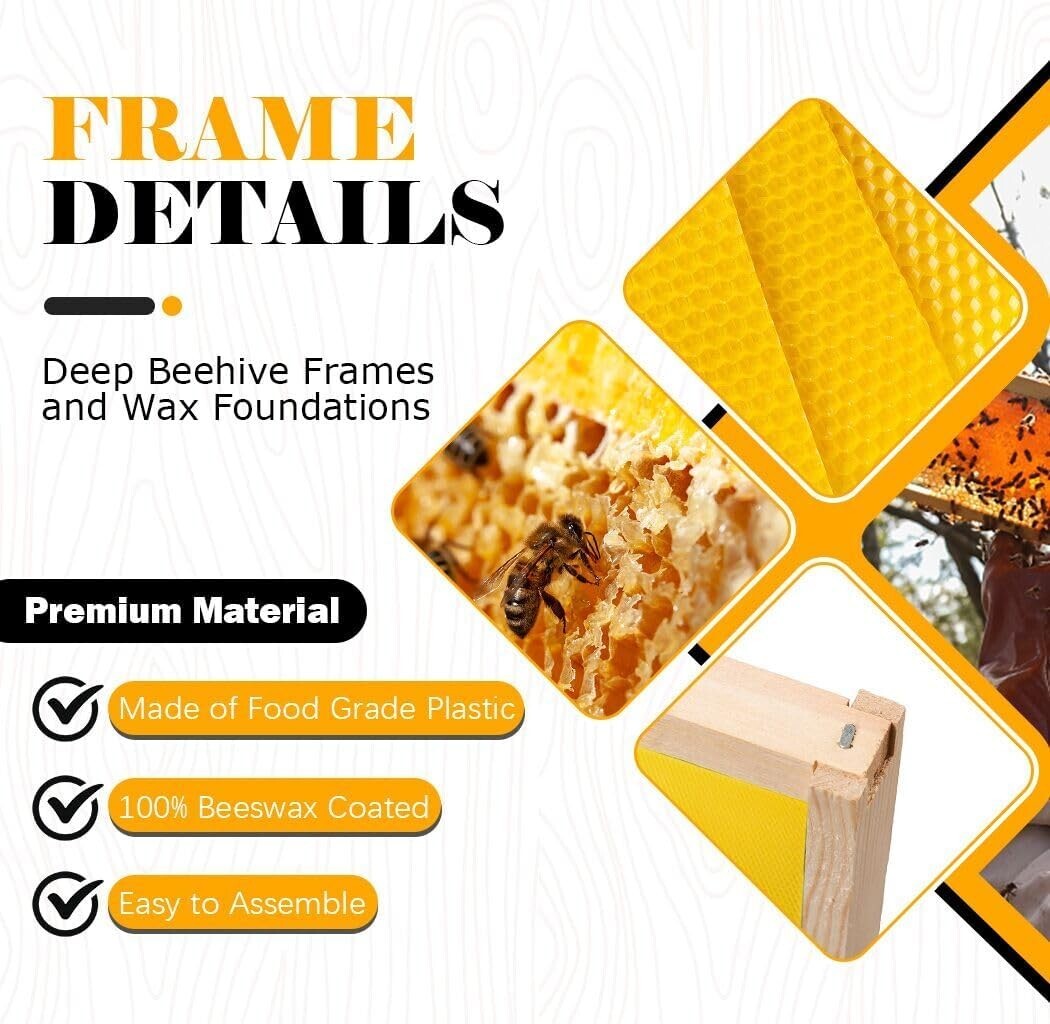 Yellow Beeswax Bee Frames for Standard Langstroth Deep Brood - 10 Piece Set