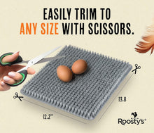 Load image into Gallery viewer, Durable Chicken Nesting Liners - 6 Waterproof Pads for Secure Egg Laying