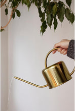 Load image into Gallery viewer, Lightweight Vintage Gold Watering Can - Ergonomic Design, No Assembly Needed