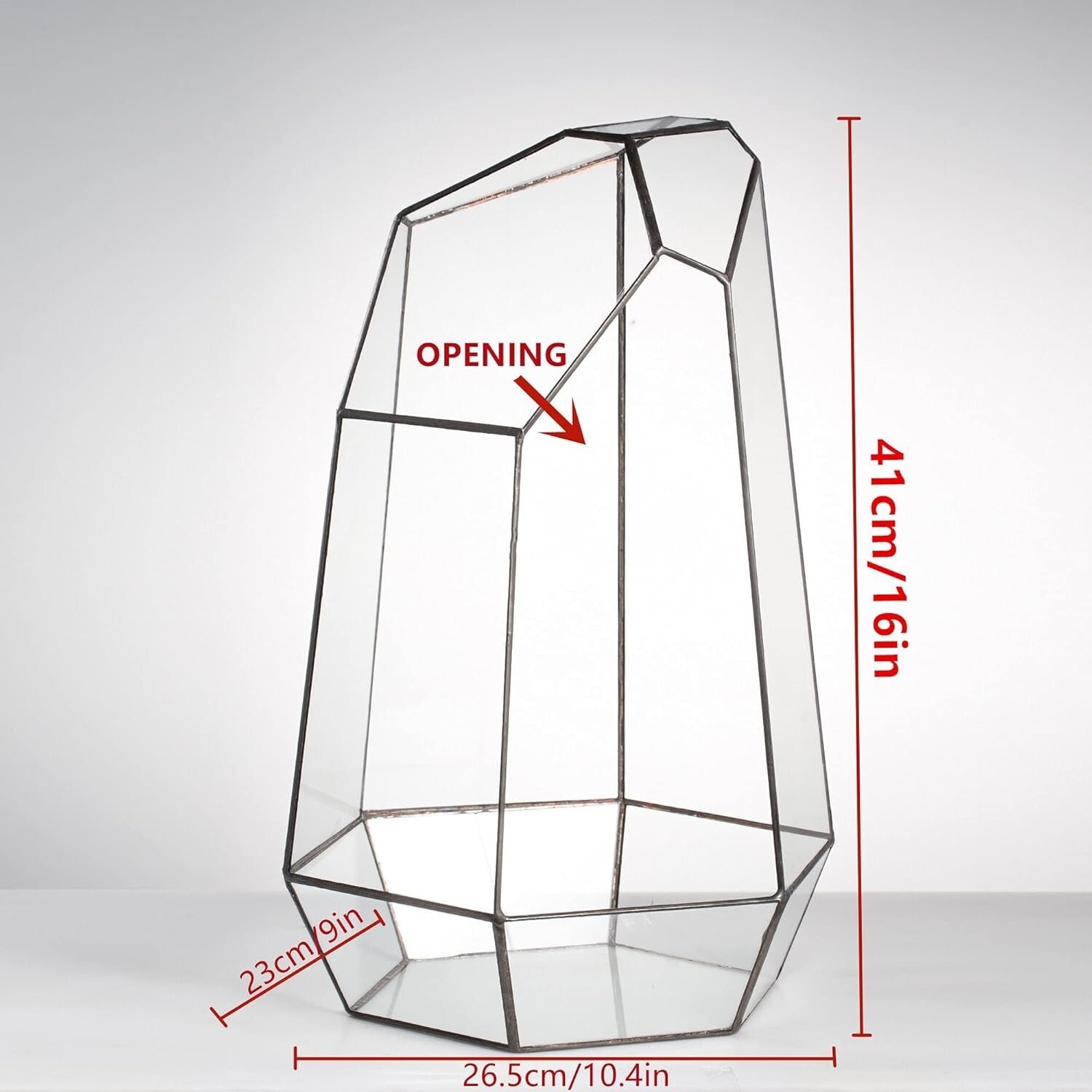 Eco-Friendly Large 16-Inch Terrarium - Irregular Shape for Unique Plant Displays