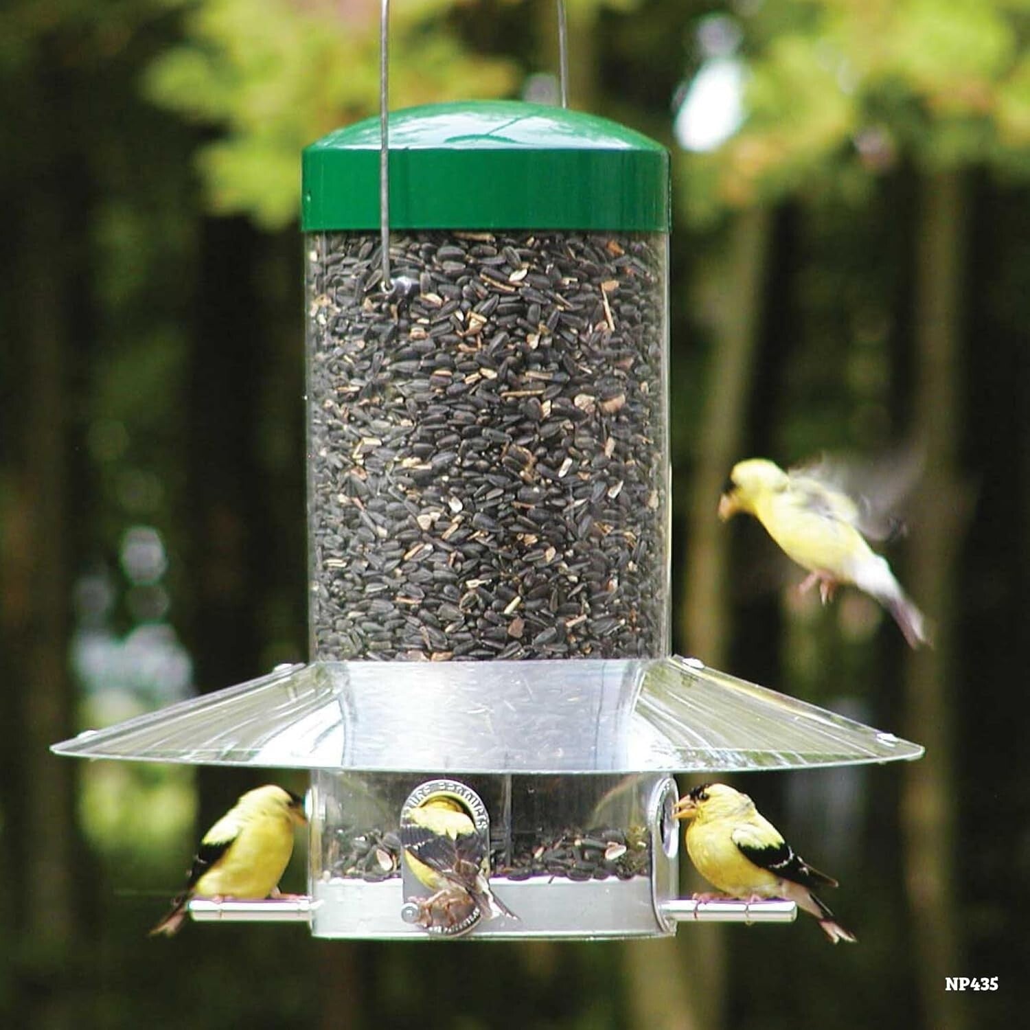 Elegant Weatherproof Bird Feeder with Weatherguard and Durable Aluminum Ports