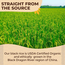 Load image into Gallery viewer, Nutritious Organic Black Rice - Whole Grain, Gluten-Free &amp; Vegan - 11lb Bag