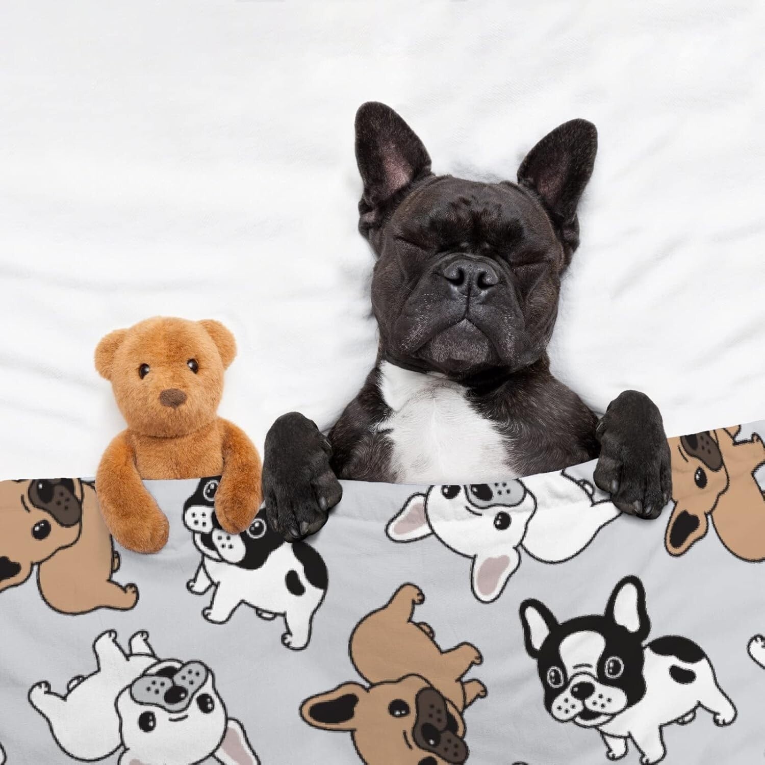 Cute Animal Print Blanket - French Bulldog Flannel Throw for All Seasons 60"x50"
