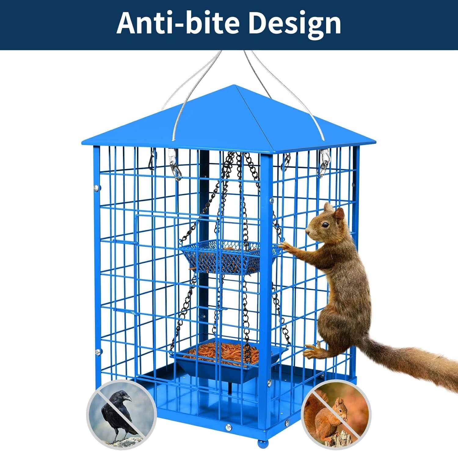 Durable Caged Bird Feeder for Bluebirds - Holds 2lbs, Includes Mealworms Cup