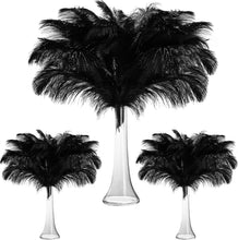 Load image into Gallery viewer, Versatile 90 Pcs Natural Ostrich Feathers - Craft, Decor &amp; DIY Essentials