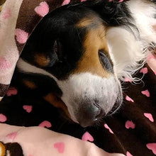 Load image into Gallery viewer, Comprehensive Snuggle Puppy Starter Kit - Ultimate Comfort for New Dogs