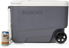 Load image into Gallery viewer, Portable Electric Cooler with Efficient Thermoelectric Technology - 35Qt