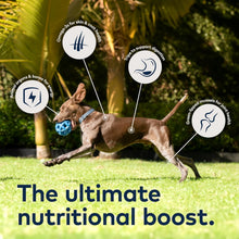 Load image into Gallery viewer, Peak Air-Dried Dog Food - Beef, High Protein, All Natural, 2.2 lb - Grain Free