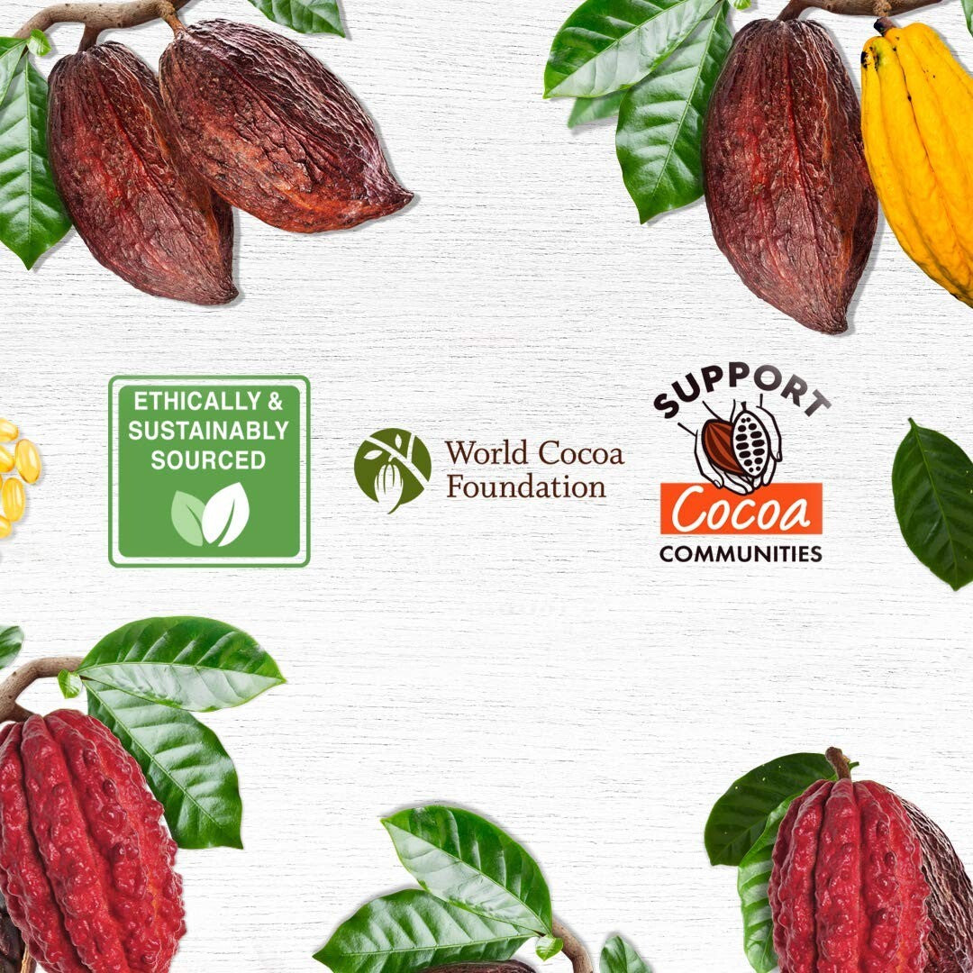 Solid Cocoa Butter Lotion - 7.25 Oz Each, Pack of 12 for Lasting Skin Hydration