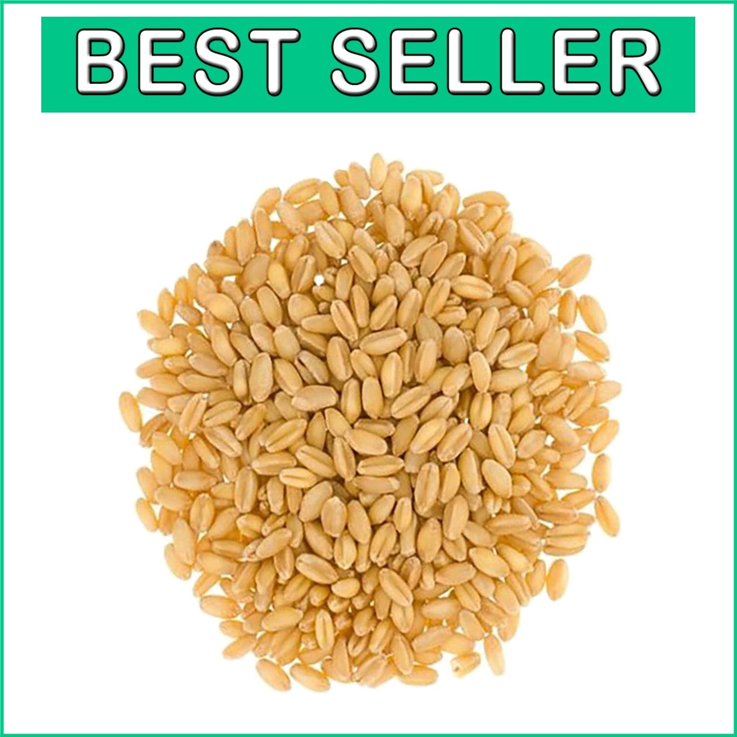 Farm-to-Table 18 LB Hard White Wheat Berries - Glyphosate-Free, Kosher Certified