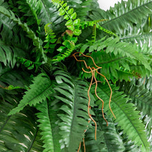 Load image into Gallery viewer, Vibrant 40IN Artificial Boston Ferns - Set of 2 for Versatile Home Styling