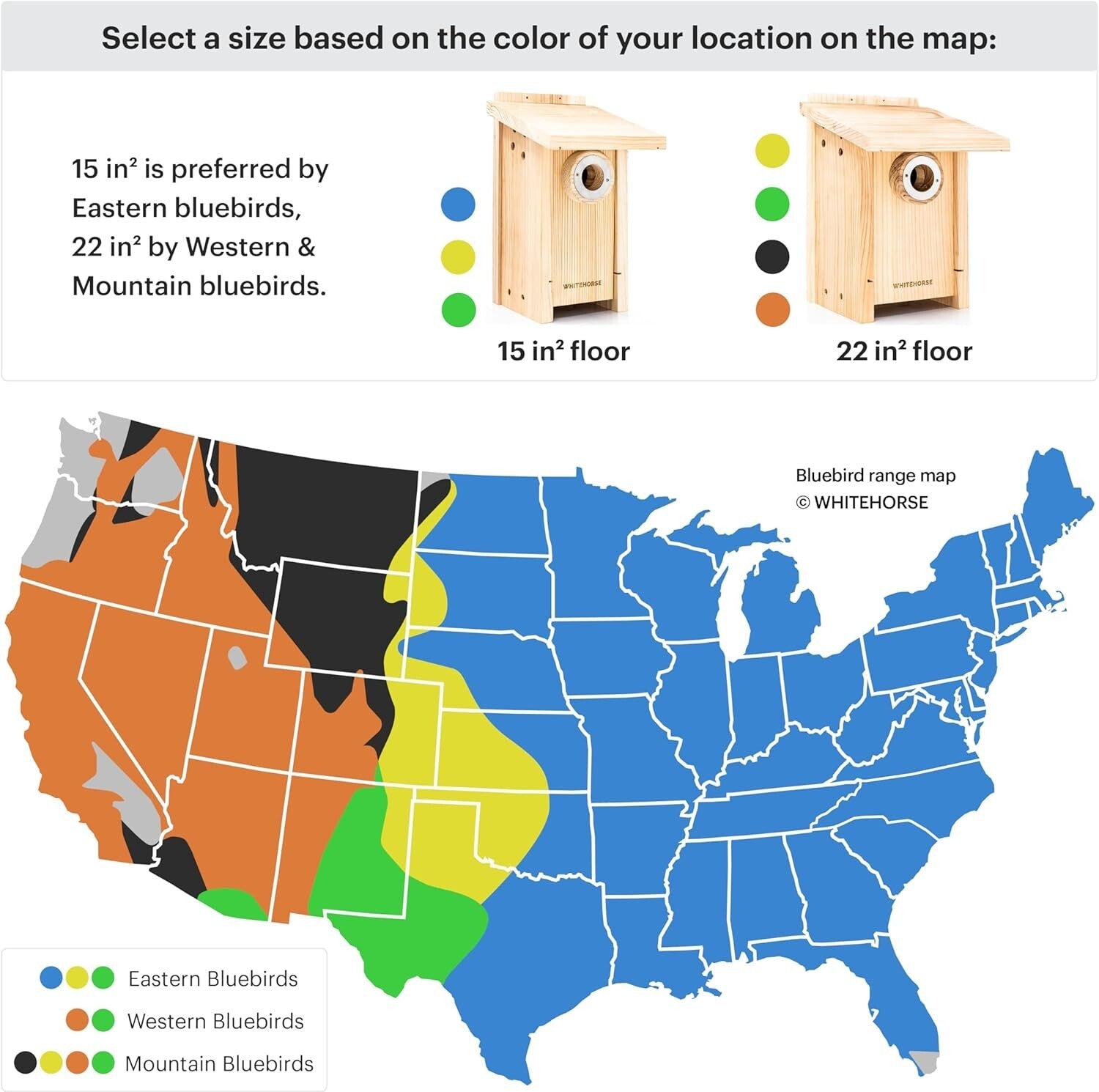 Durable Weatherproof Bird House with Predator Guard - Family-Designed Quality