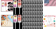 Load image into Gallery viewer, Elegant Push Pop Containers: 200-Pc Clear Dessert Shooter Kit for Parties
