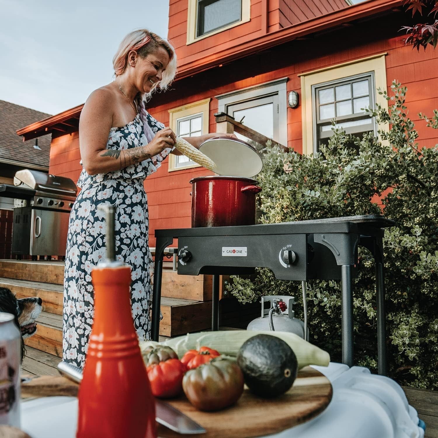 High-Pressure Propane Double Burner Camp Stove with Windscreen & Adjustable PSI