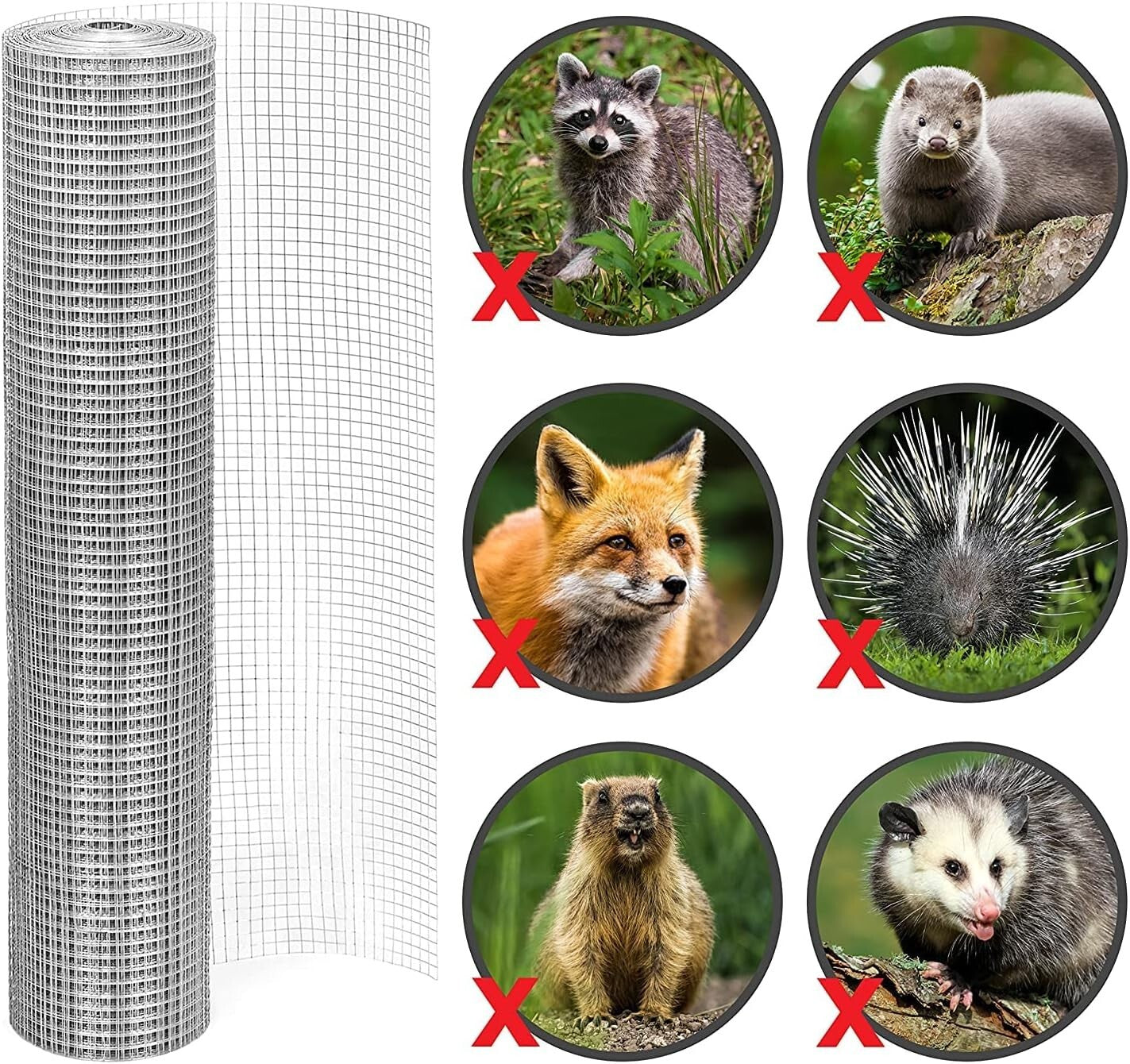 19 Gauge 1/2" Galvanized Fence Mesh Roll - Ideal for Gardens & Critter Control