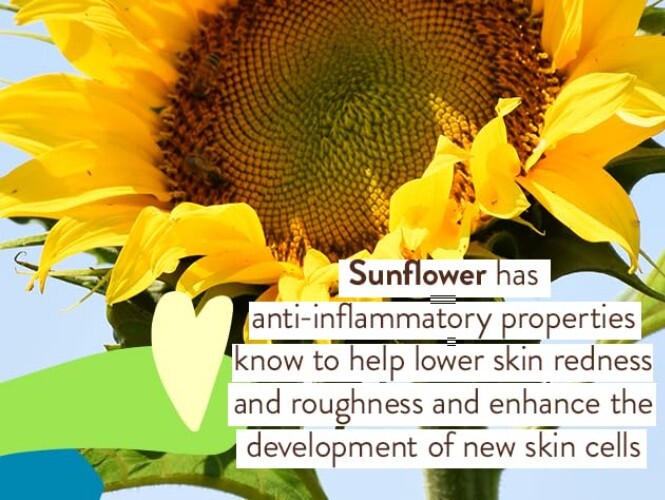 Babo Botanicals Continuous Sunscreen Spray - Ideal for Sensitive Skin & Families