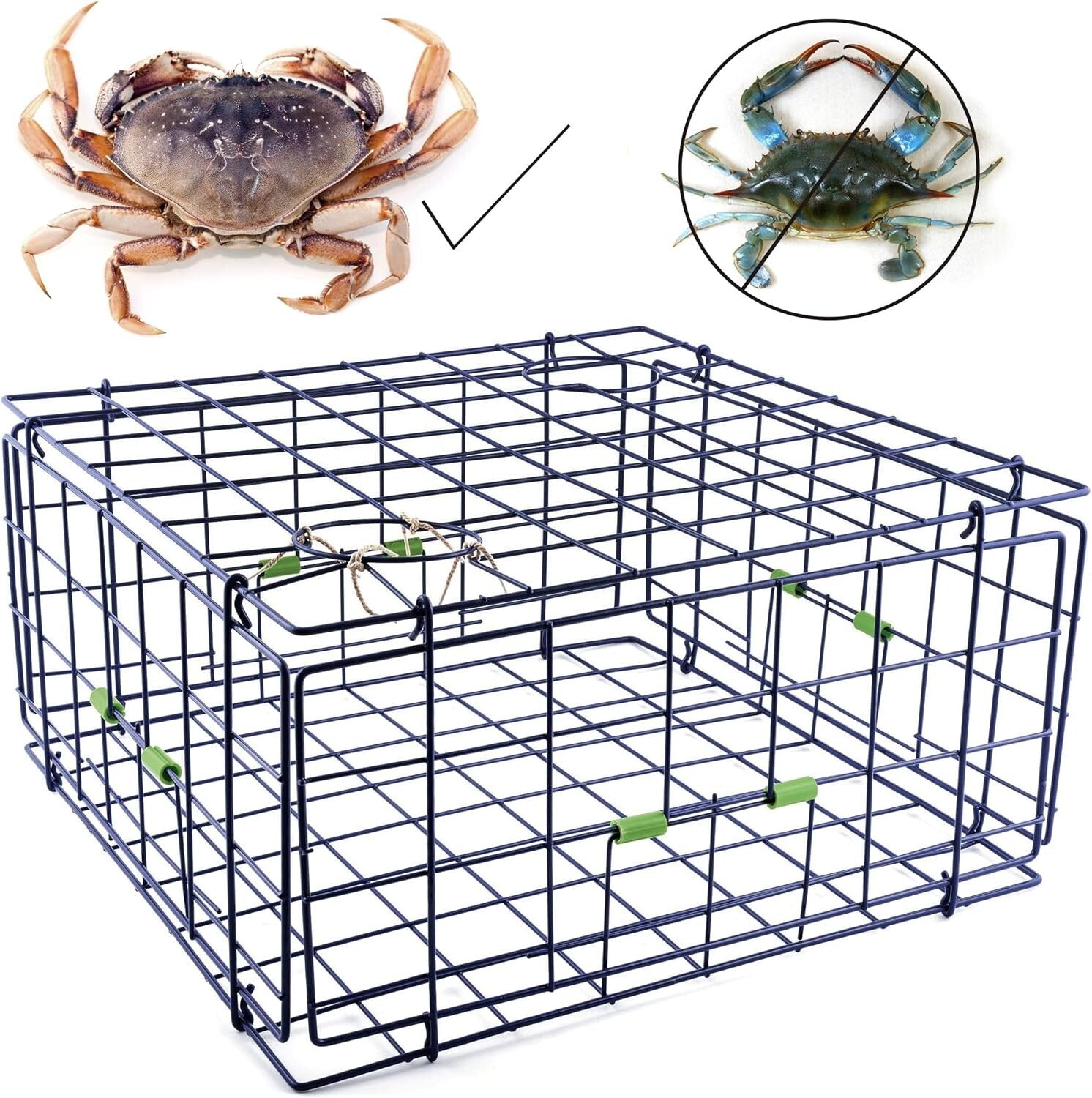 Blue 24-Inch Foldable Crab Trap with Marine-Grade Wire for Fishing Enthusiasts