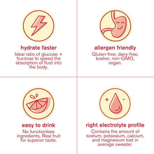 Load image into Gallery viewer, Portable Electrolyte Powder Packets - Strawberry Lemonade Hydration Mix 20ct