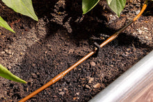 Load image into Gallery viewer, Advanced Drip Irrigation Raised Bed Watering Kit with Pressure Regulator &amp; Timer