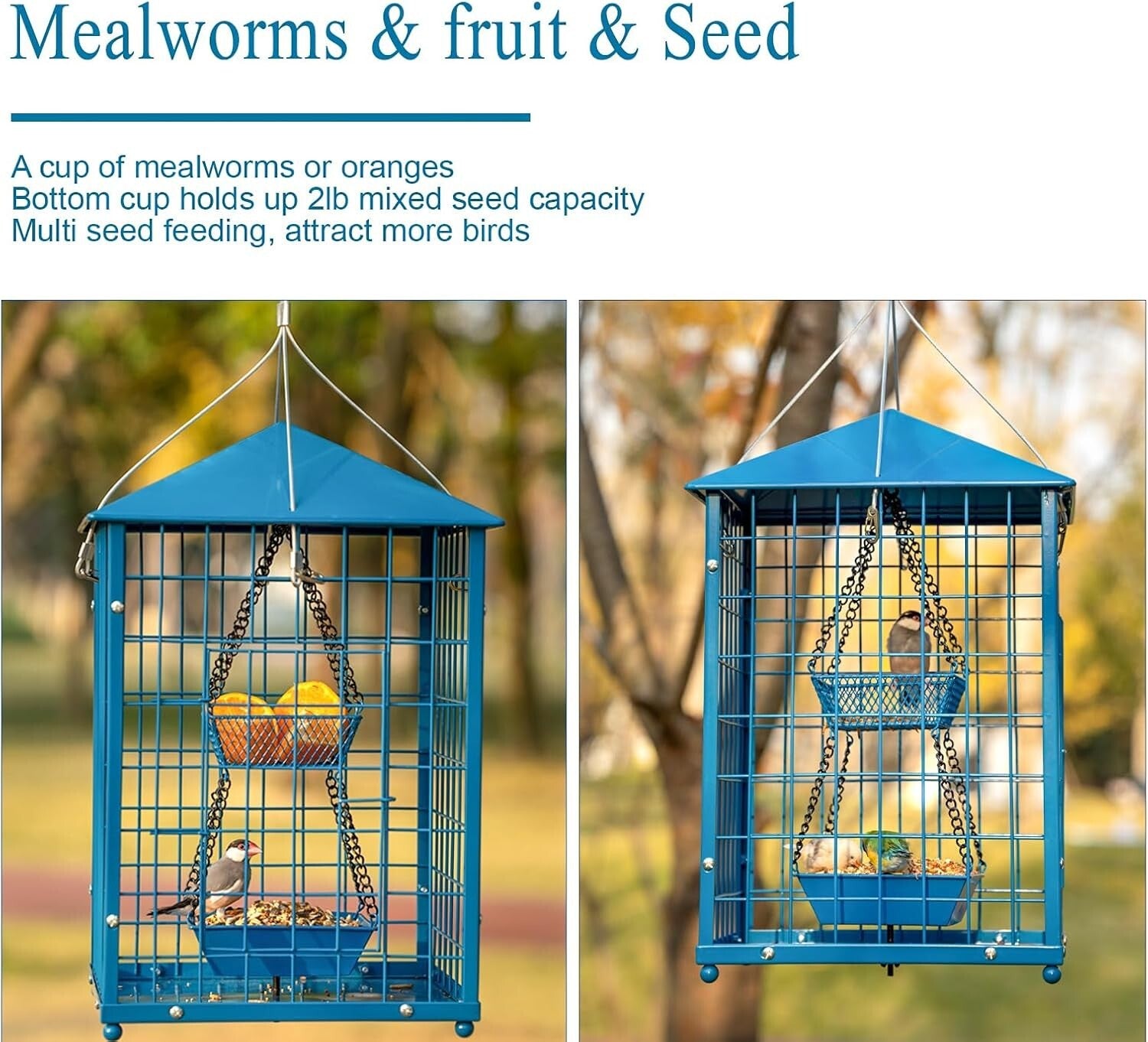 Durable Caged Bird Feeder for Bluebirds - Holds 2lbs, Includes Mealworms Cup