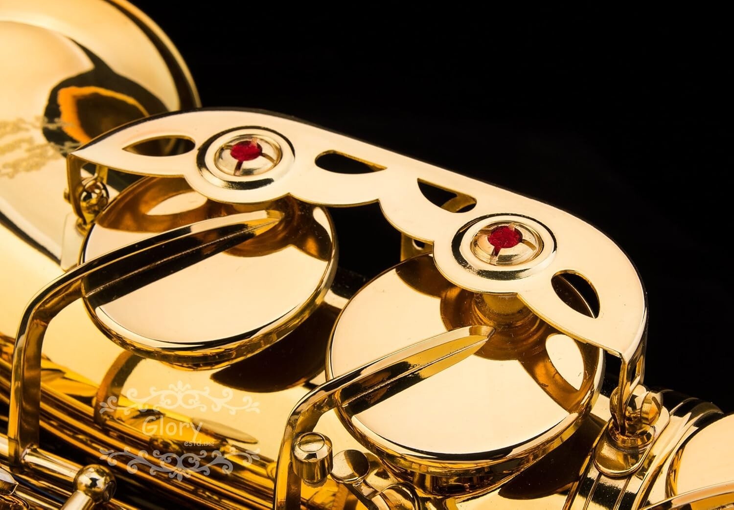 Versatile E Flat Alto Saxophone with Luxury Gold Finish - Perfect for All Ages