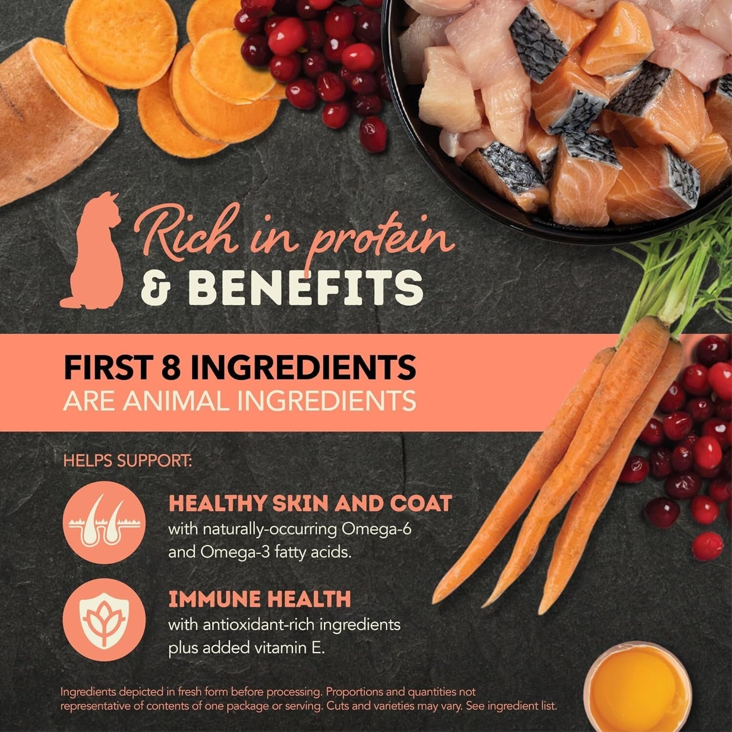 High Protein Salmon & Chicken Recipe Cat Food in Rich Beef Bone Broth - 12 Cans