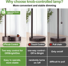Load image into Gallery viewer, Elegant 2 Light Set: Fully Dimmable Oil Rubbed Bronze Lamps with USB Charging