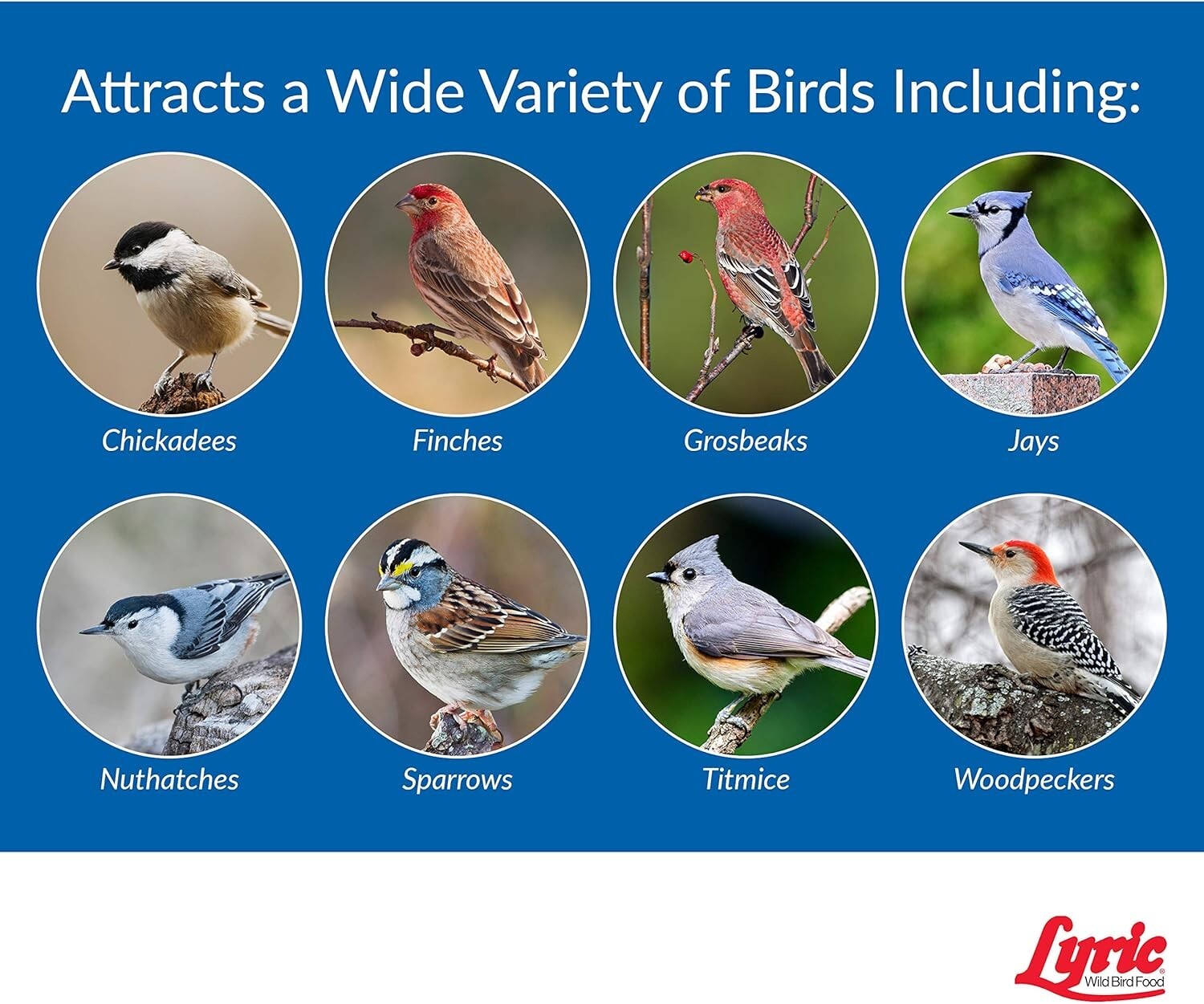 Diverse Wild Bird Mix for Feeders - 40 lb. Nutritional Blend for Backyard Birds