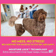Load image into Gallery viewer, Petcare Disposable Dog Diapers for Female Dogs - Incontinence &amp; Heat Cycle Aid