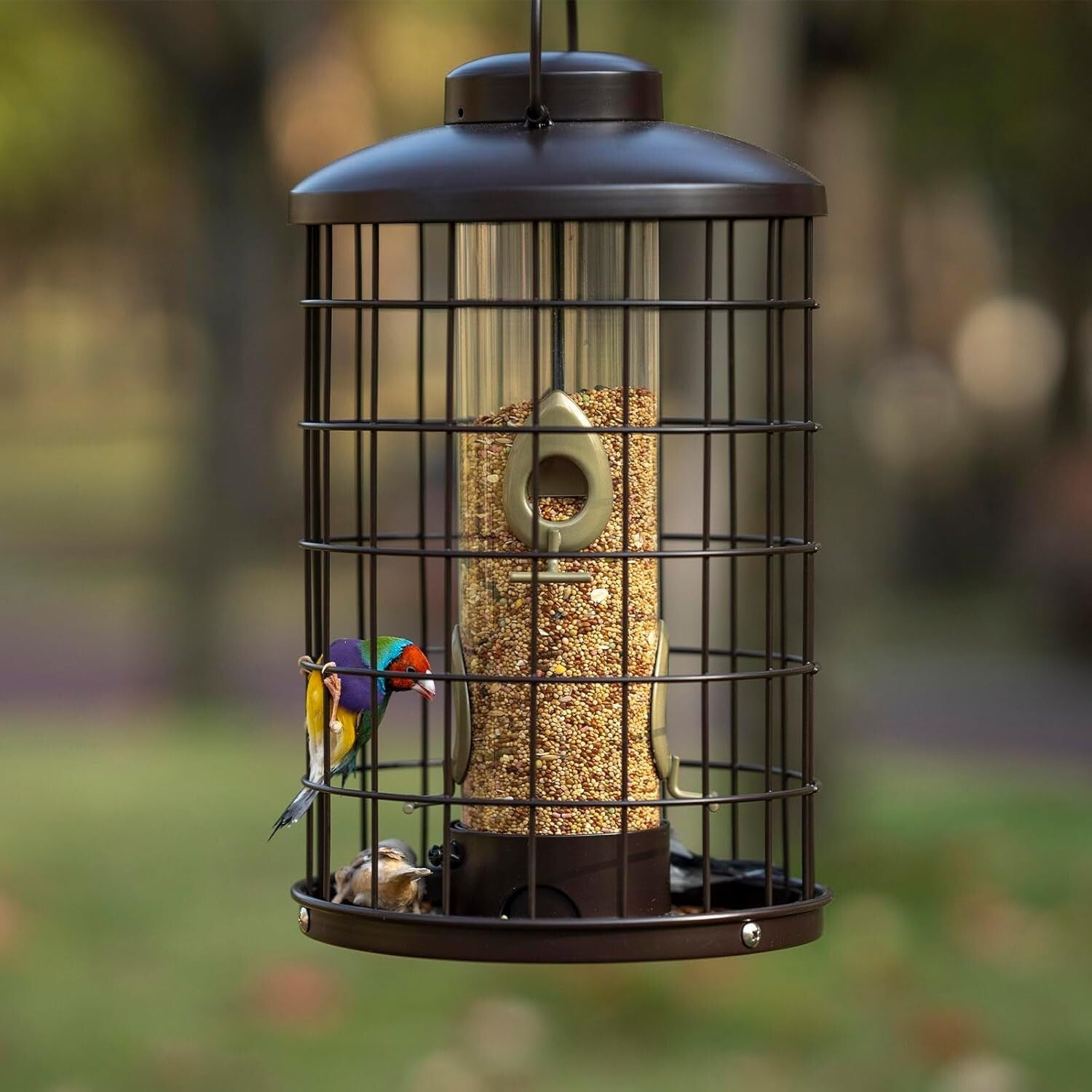 Caged Bird Feeder with Adjustable Feeding Ports - Squirrel-Proof Design, 3 lbs