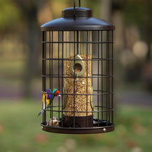 Load image into Gallery viewer, Caged Bird Feeder with Adjustable Feeding Ports - Squirrel-Proof Design, 3 lbs