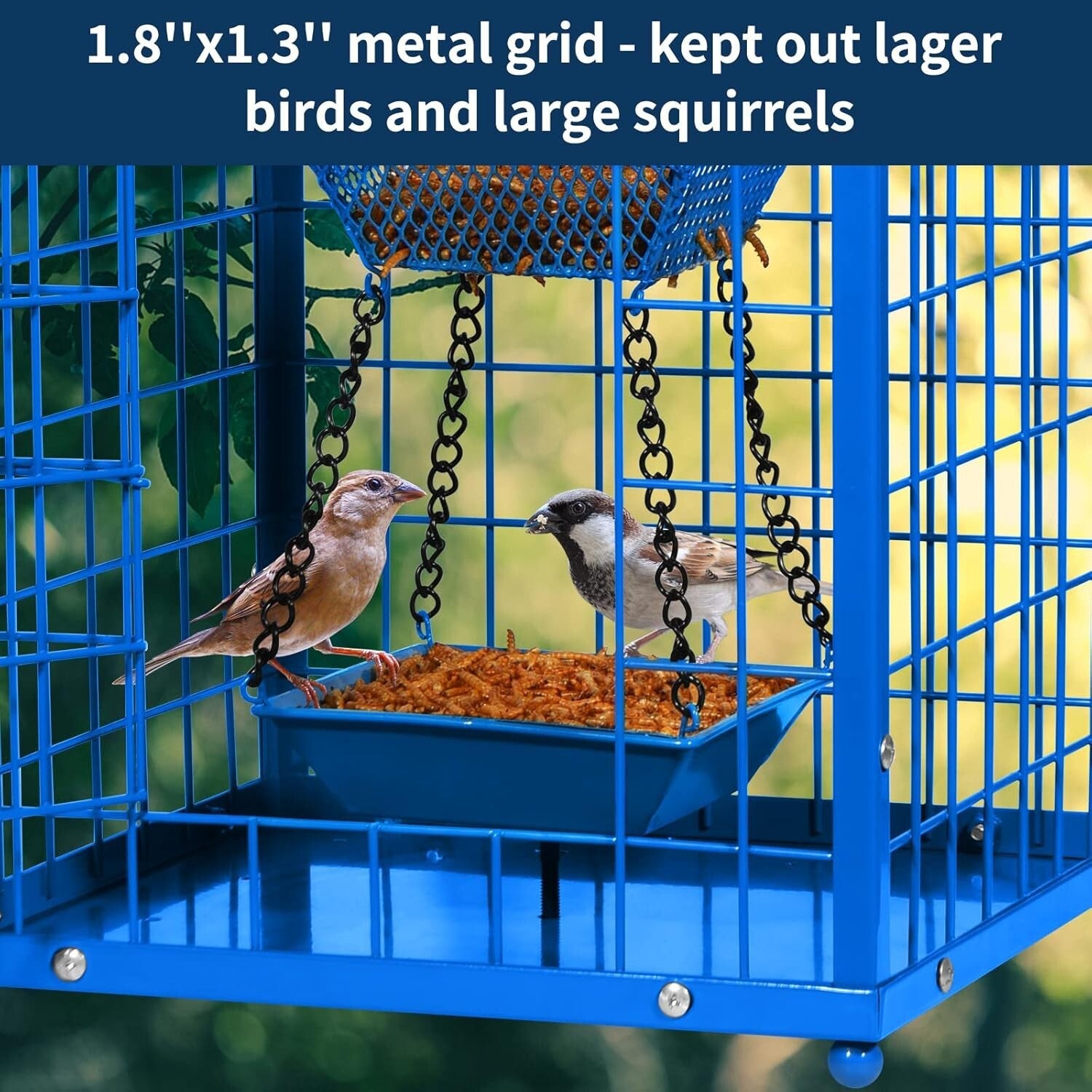 Weather-Proof Caged Bird Feeder for Bluebirds - DIY Compatible & 2lbs Capacity
