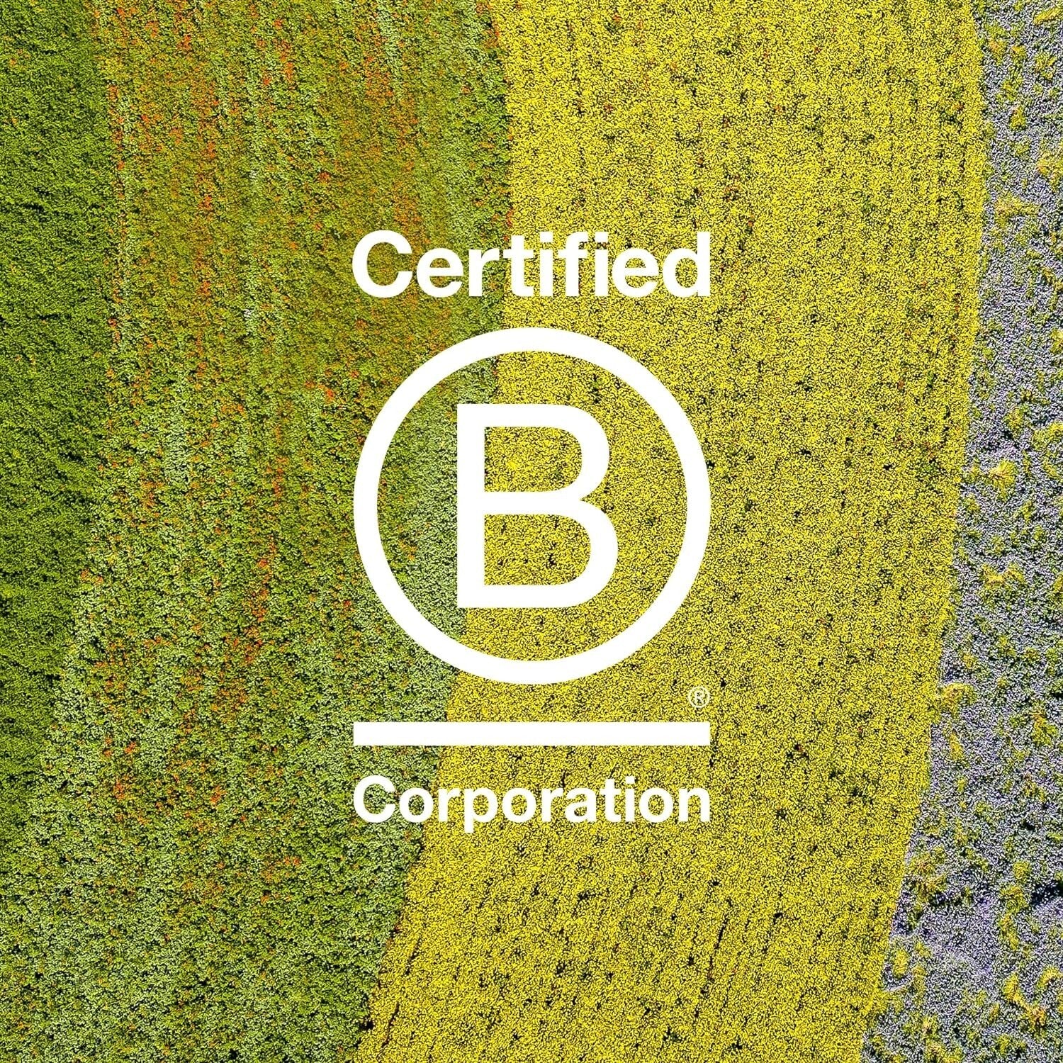 Miracle Mask for Dry Hair - Vegetarian Deep Moisturizing Treatment, 8.77 Fl. Oz.