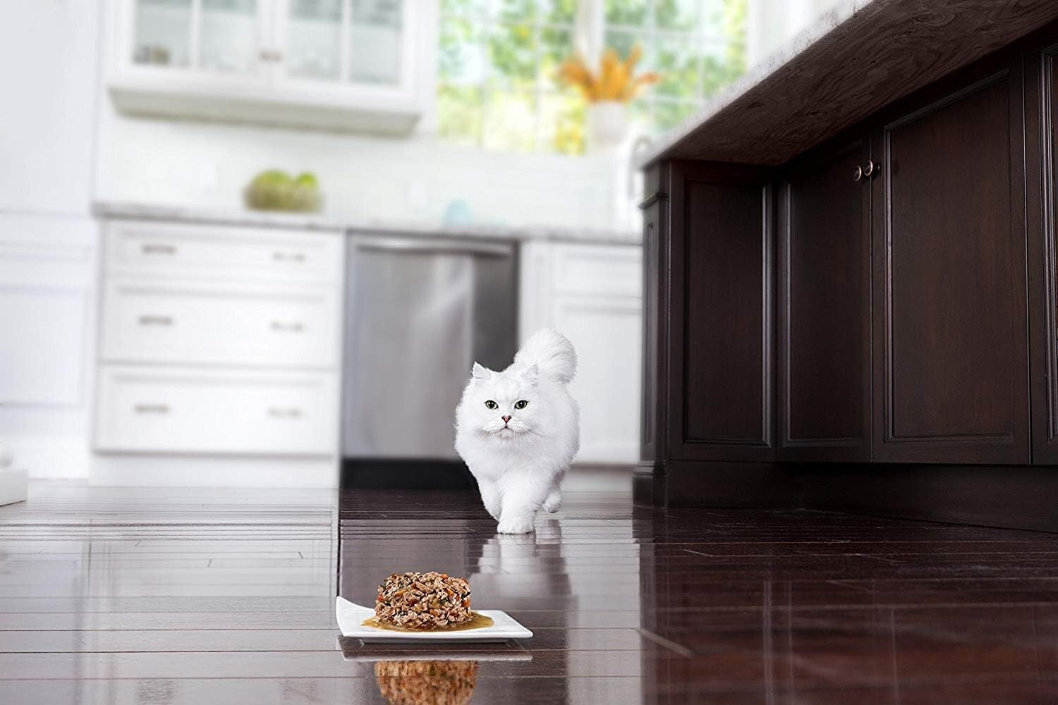 Premium Seafood Variety Pack - Purina Wet Cat Food (45 Cans of Delight)